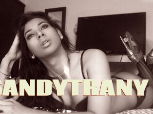 00SANDYTRANY