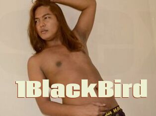 1BlackBird