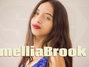 AmelliaBrook