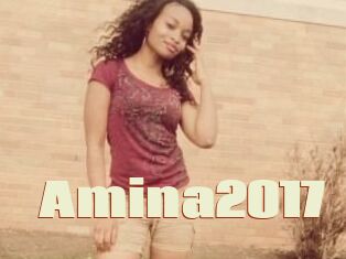 Amina2017