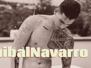 AnibalNavarro