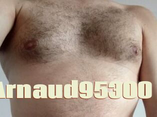 Arnaud95300