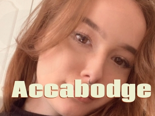 Accabodge