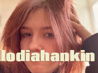 Alodiahankin