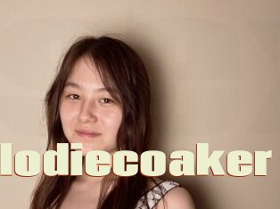 Alodiecoaker