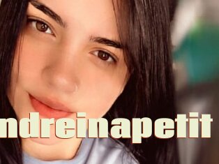 Andreinapetit