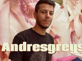 Andresgreys