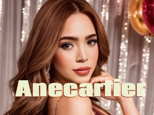 Anecartier