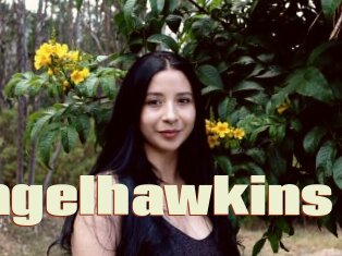Angelhawkins