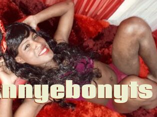 Annyebonyts