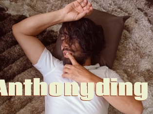 Anthonyding