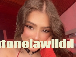 Antonelawildd