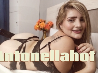 Antonellahot