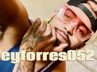 Arleytorres052