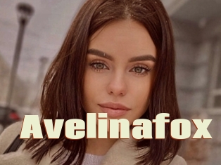 Avelinafox