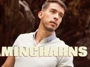 BENJAMINCHARNS