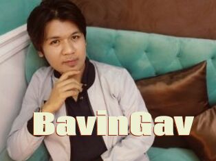 BavinGav