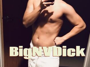 BigNVDick