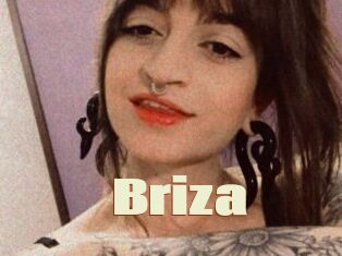 Briza