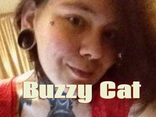 Buzzy_Cat