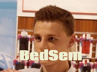 BedSem