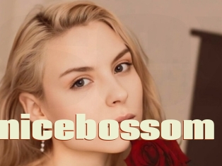 Berenicebossom