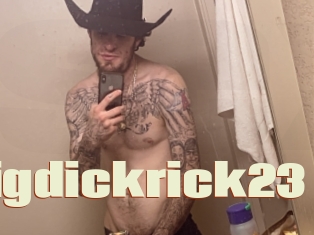 Bigdickrick23