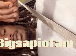 Bigsapiofam