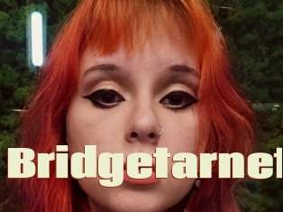 Bridgetarnet