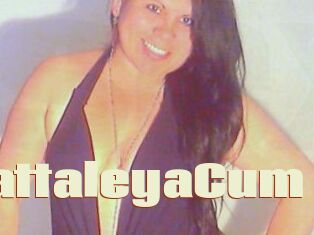 CattaleyaCum