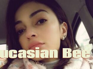 Caucasian_Bee