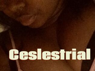 Ceslestrial