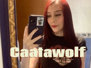 Caatawolf