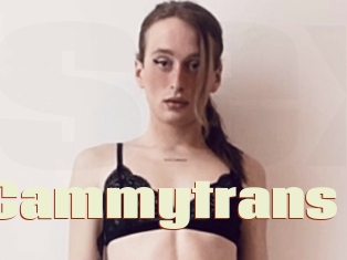 Cammytrans
