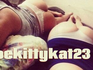 Chloekittykat23