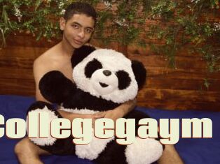 Collegegaym