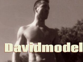 Davidmodel