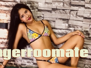 Dangerroomate