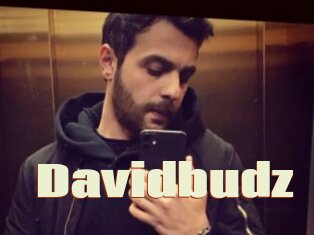Davidbudz