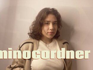 Dominocordner