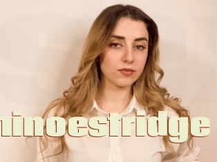 Dominoestridge