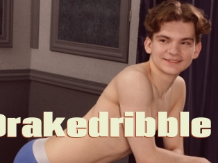 Drakedribble