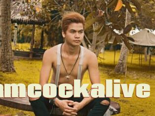 Dreamcockalive