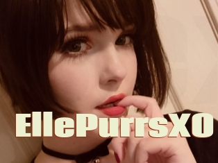 EllePurrsXO
