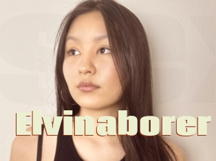 Elvinaborer