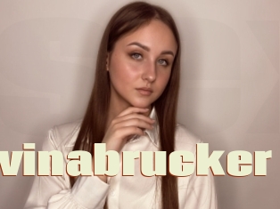 Elvinabrucker