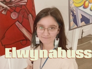 Elwynabuss