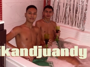 Erikandjuandy