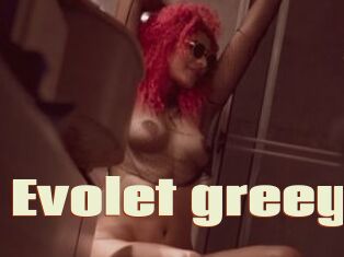 Evolet_greey