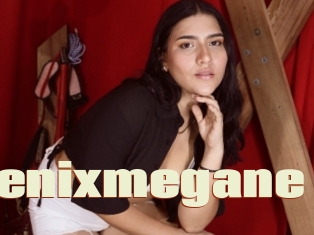 Fenixmegane